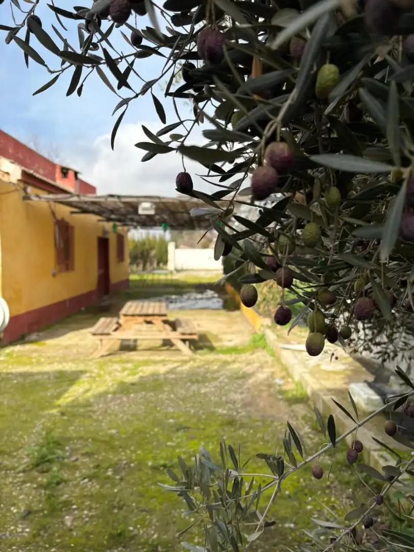 Casa o xalet en venda a Plaza Pago Pozuela, 34, Puente Tablas - Puente Nuevo - Cerro Molina Jardí de Casa o xalet en venda en Jaén amb Aire condicionat, Jardí privat i Traster