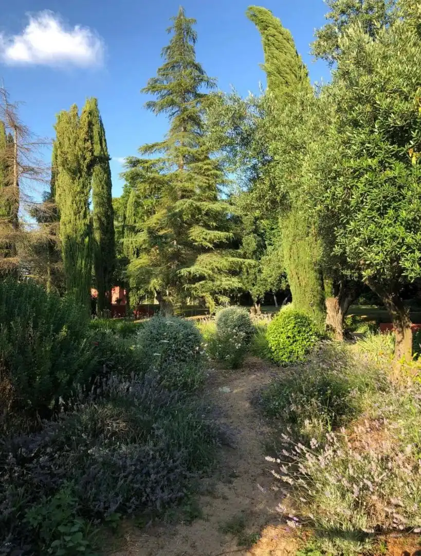 Finca rústica en venda a Calle Roma, 4, Casco Antiguo Jardí de Finca rústica en venda en Mairena del Aljarafe amb Aire condicionat, Calefacció i Jardí privat