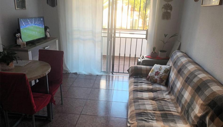 Apartamento de alquiler en Avenida Santiago Puig, 7, Playa de las Américas, Arona - imagen 1 Foto 1 de Apartamento de alquiler en Avenida Santiago Puig, 7, Playa de las Américas, Arona