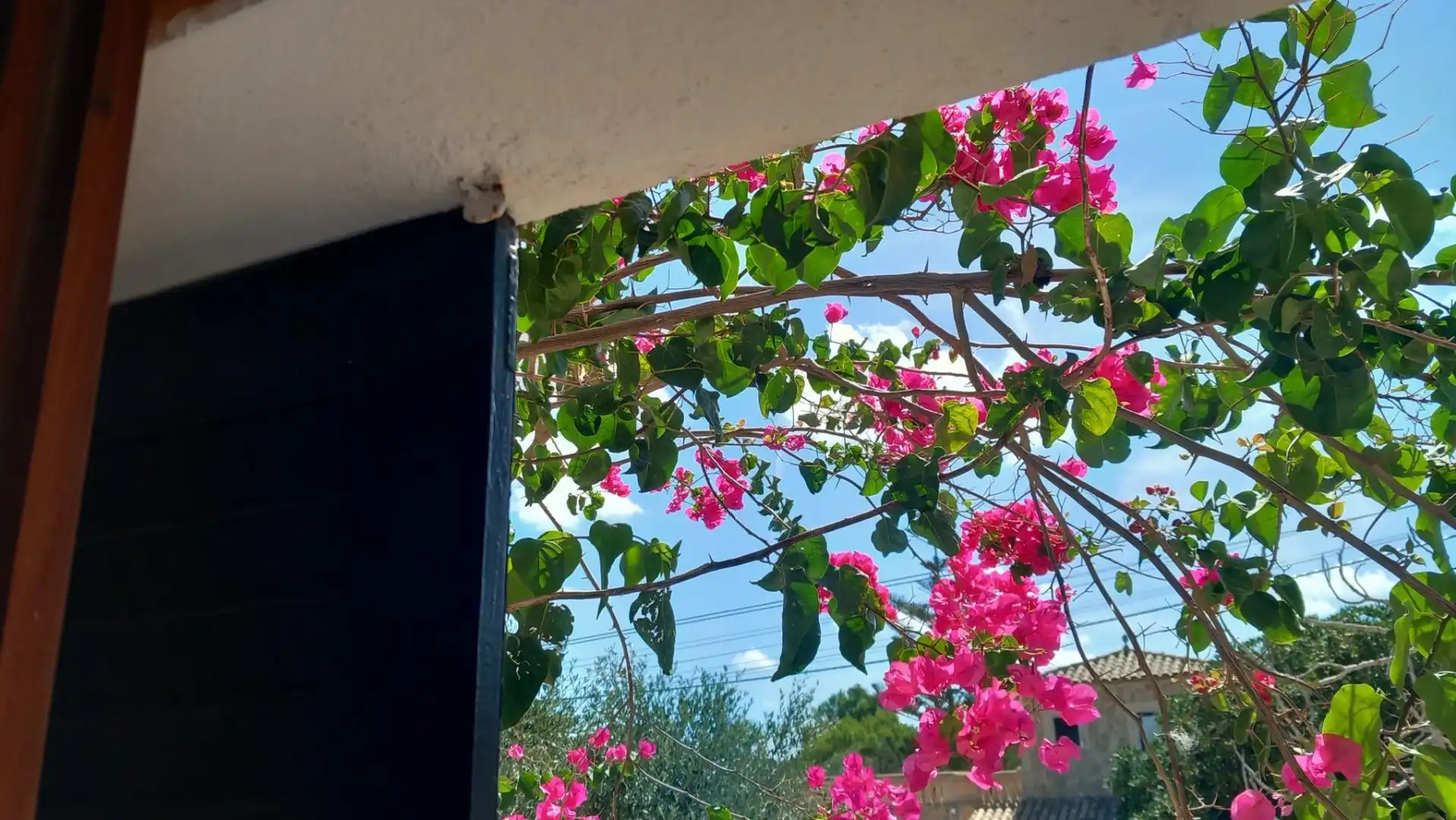 Casa o chalet en venta en Carrer de sa Medalla, 7, Cala Figuera Terraza de Casa o chalet en venta en Santanyí con Aire acondicionado, Calefacción y Jardín privado