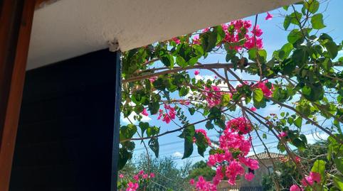 House or chalet for sale in Carrer de Sa Medalla, 7, Cala Figuera, Santanyí - image 2 Photo 2 of House or chalet for sale in Carrer de Sa Medalla, 7, Cala Figuera, Santanyí