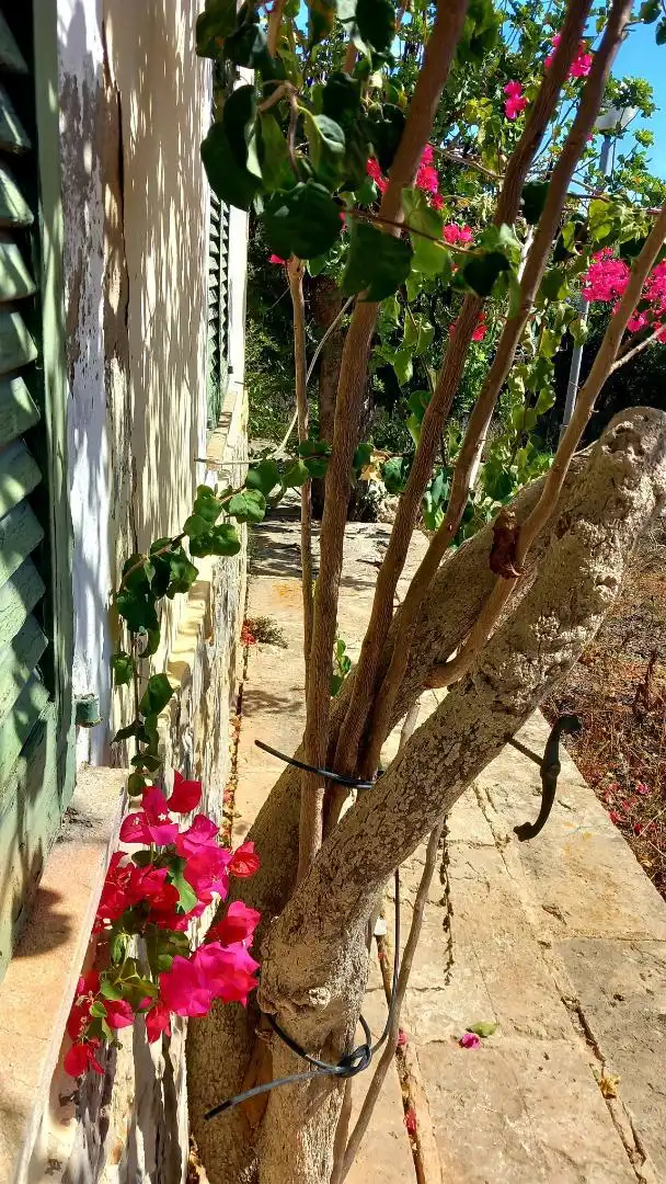 Casa o chalet en venta en Carrer de sa Medalla, 7, Cala Figuera Jardín de Casa o chalet en venta en Santanyí con Aire acondicionado, Calefacción y Jardín privado