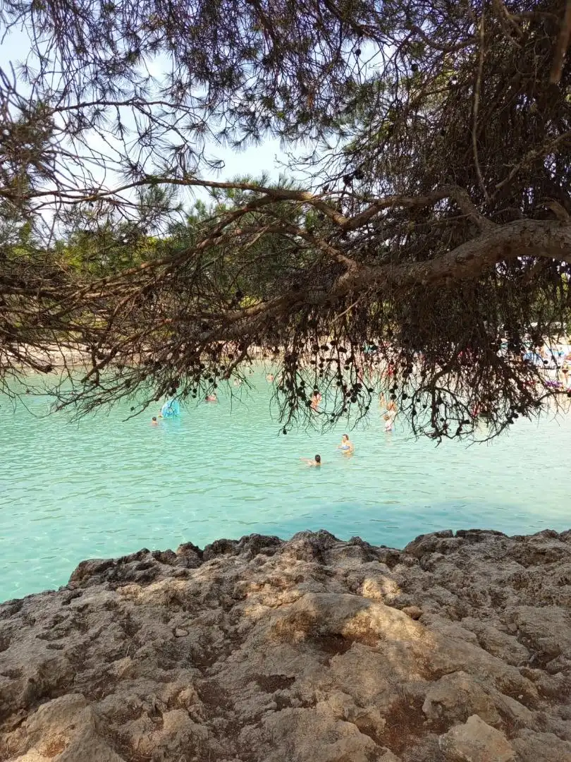 Casa o chalet en venta en Carrer de sa Medalla, 7, Cala Figuera Piscina de Casa o chalet en venta en Santanyí con Aire acondicionado, Calefacción y Jardín privado