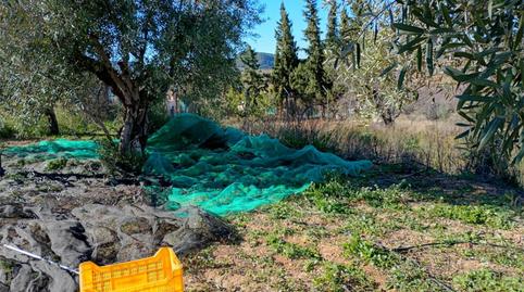 Foto 4 de Finca rústica en venda a Diseminado P023, 117b, Casinos, Valencia