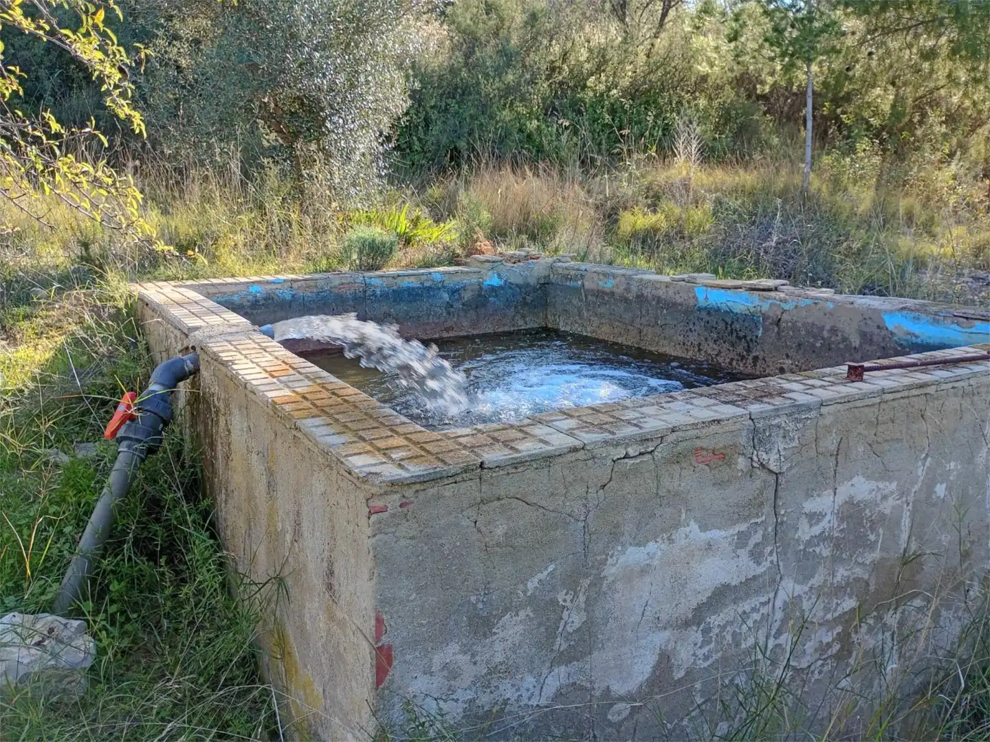 Piscina de Finca rústica en venta en Casinos con Aire acondicionado, Terraza y Piscina