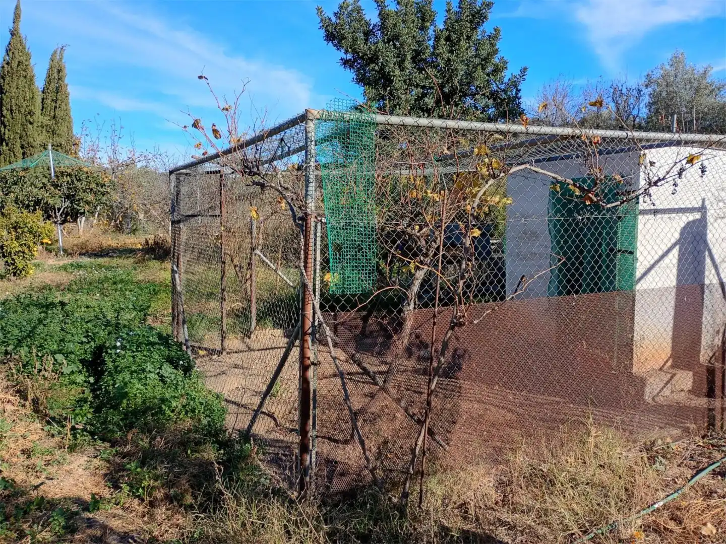 Finca rústica en venta en Casinos con Aire acondicionado, Terraza y Piscina