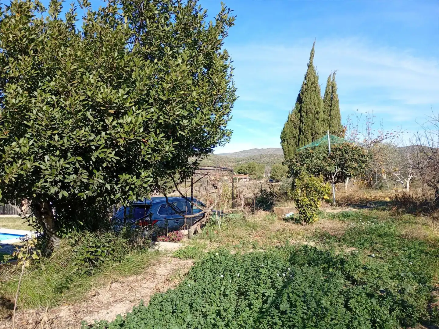 Jardín de Finca rústica en venta en Casinos con Aire acondicionado, Terraza y Piscina