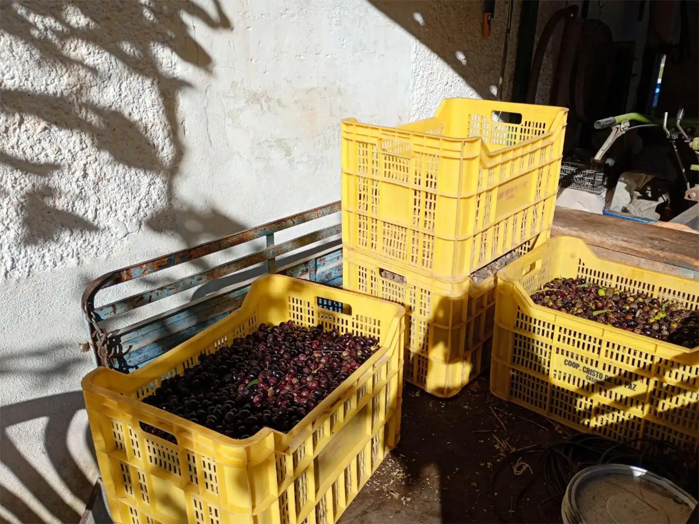 Vista exterior de Finca rústica en venta en Casinos con Aire acondicionado, Terraza y Piscina