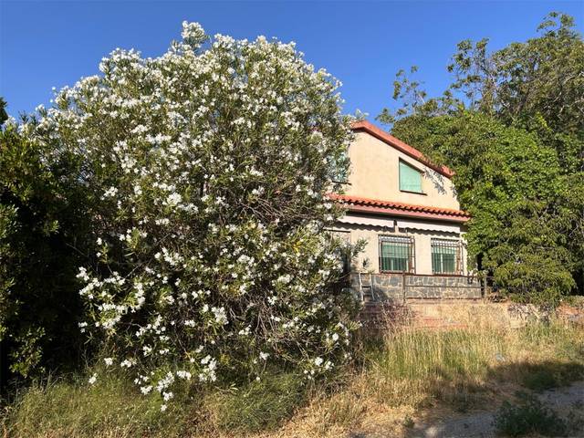 Finca rústica en Venta en Avenida de la Estación, 59 en Benalúa