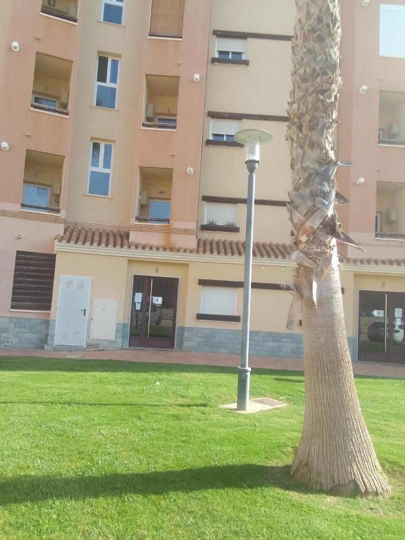 Vista exterior de Pis en venda en  Murcia Capital amb Terrassa, Piscina i Balcó