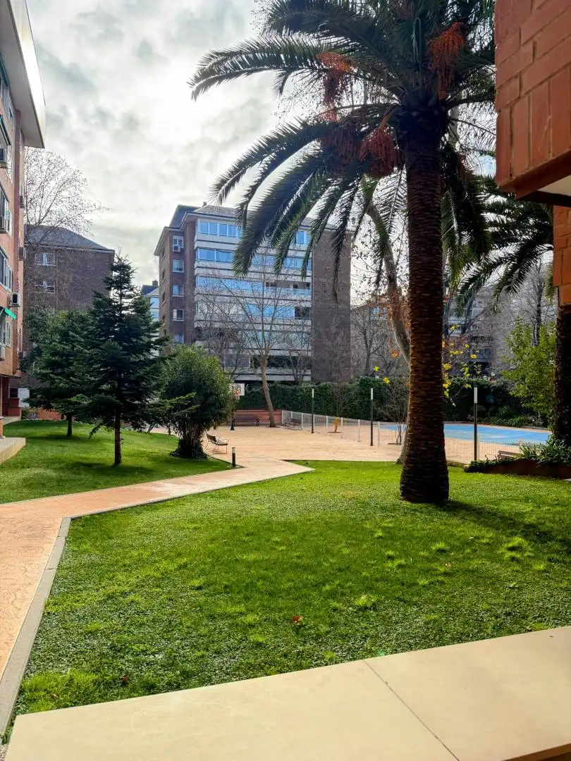 Flat for sale in Calle de Francisco José Arroyo, 2, Palomas Exterior view of Flat for sale in Madrid Capital with Terrace, Swimming Pool and Balcony