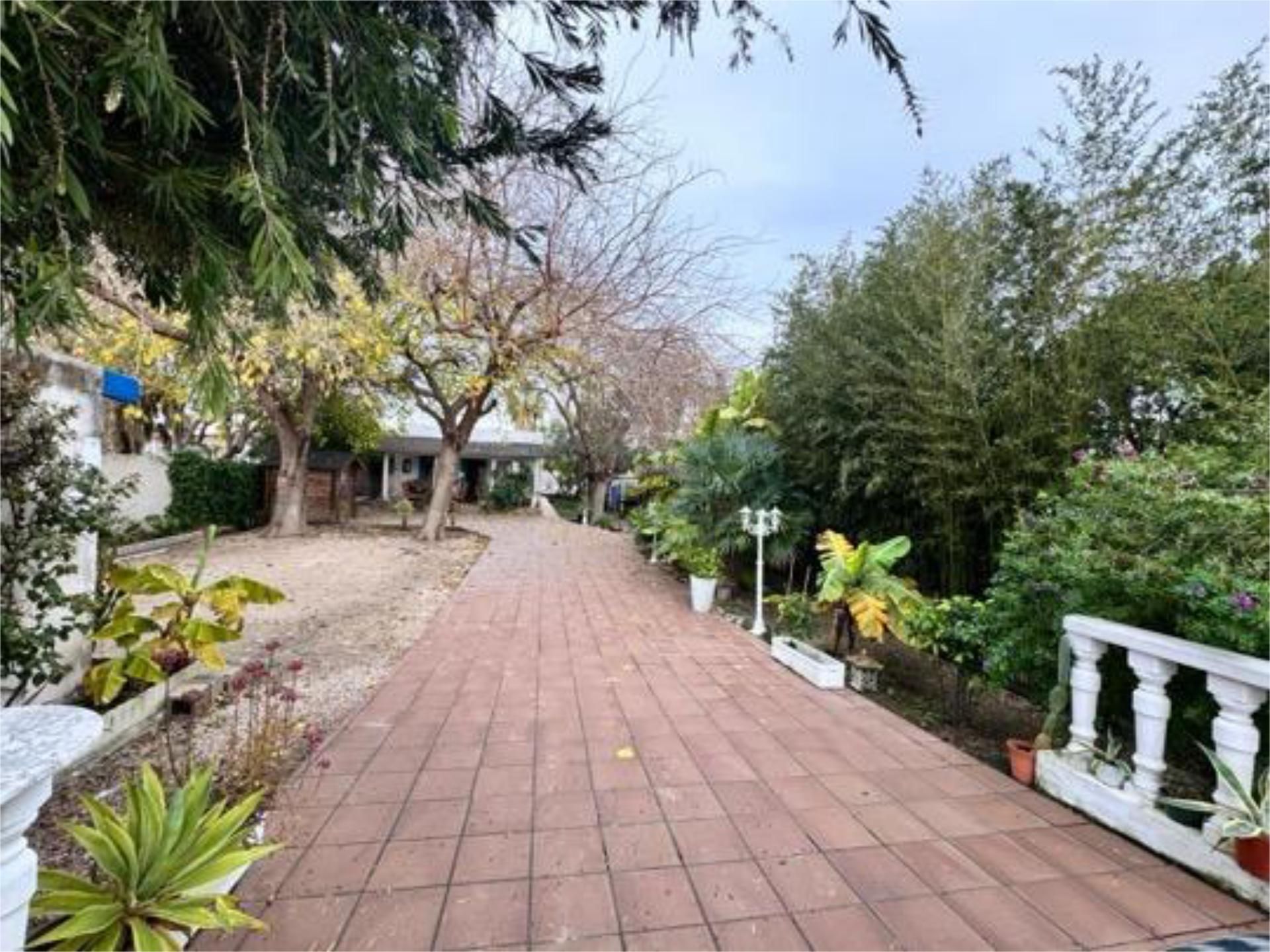 Exterior view of Single-family semi-detached for sale in Gandia