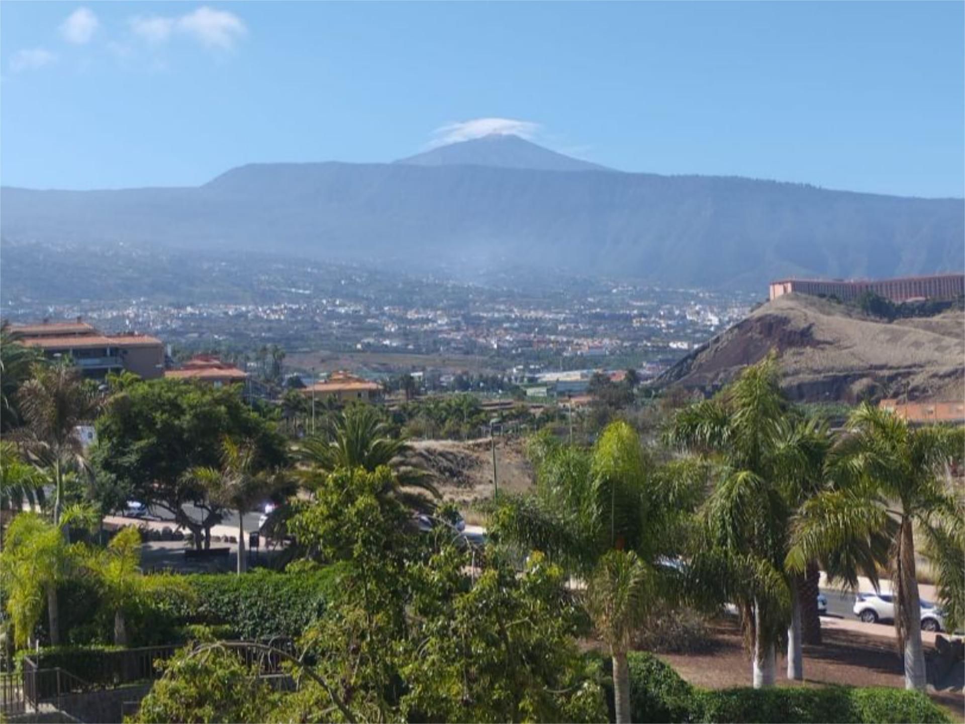 Pis de lloguer a Calle Luis Rodríguez Figueroa, 39, Zona Botánico