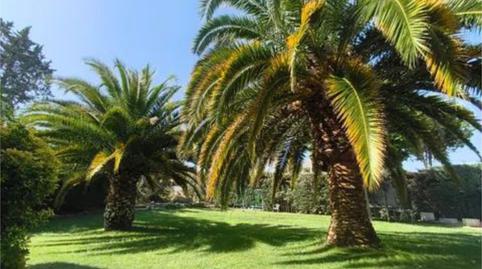 Planta baixa de lloguer a Calle Oria, 1, El Bosque, Villaviciosa de Odón - imatge 2 Foto 2 de Planta baixa de lloguer a Calle Oria, 1, El Bosque, Villaviciosa de Odón