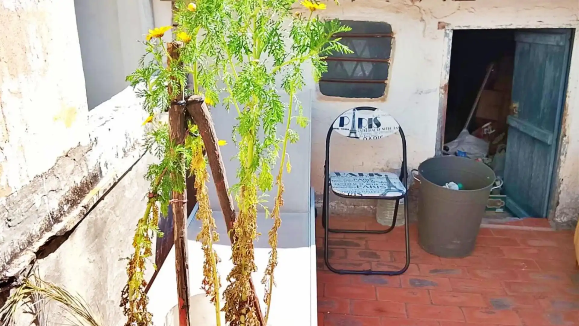 Balcony of Single-family semi-detached for sale in Pego  with Terrace, Storage room and Furnished