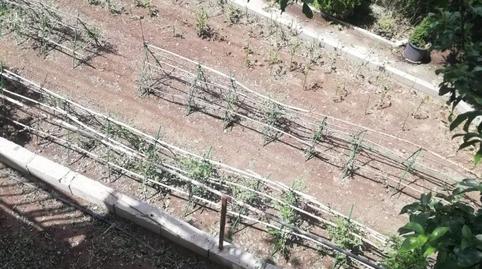 Finca rústica en venda a Calle D, 4, Nívar, Granada - imatge 2 Foto 2 de Finca rústica en venda a Calle D, 4, Nívar, Granada