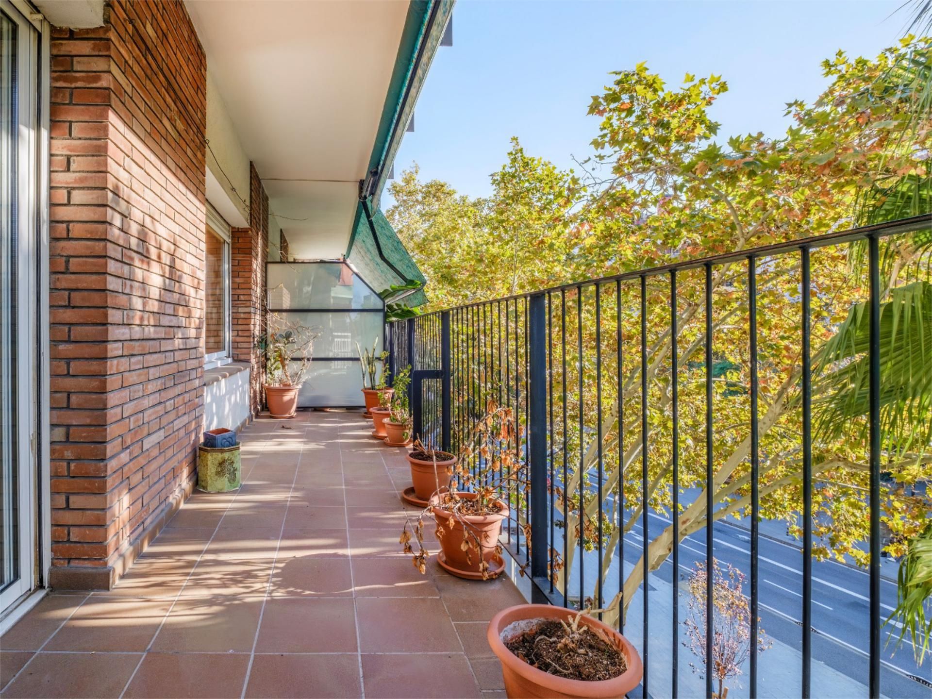 Pis en venda a Avinguda de Roma, 107, Eixample Terrassa de Pis en venda en Barcelona Capital amb Terrassa