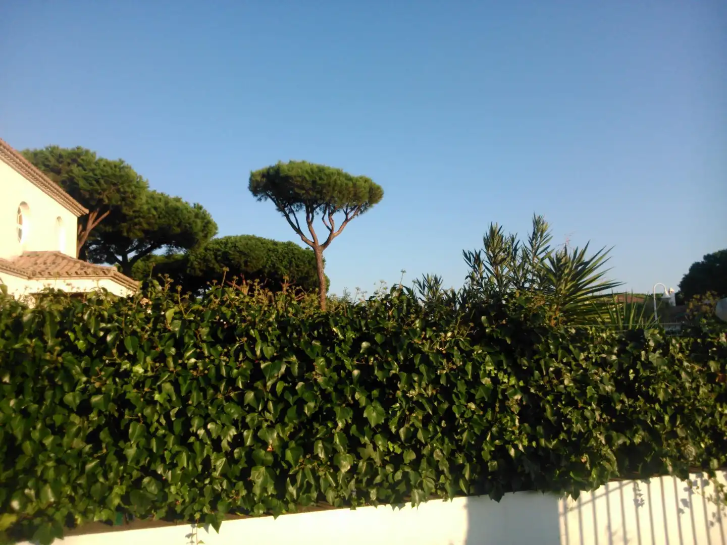 Casa o chalet en venta en Avenida Cristóbal Colón, 23, El Portil Jardín de Casa o chalet en venta en El Portil con Terraza y Piscina