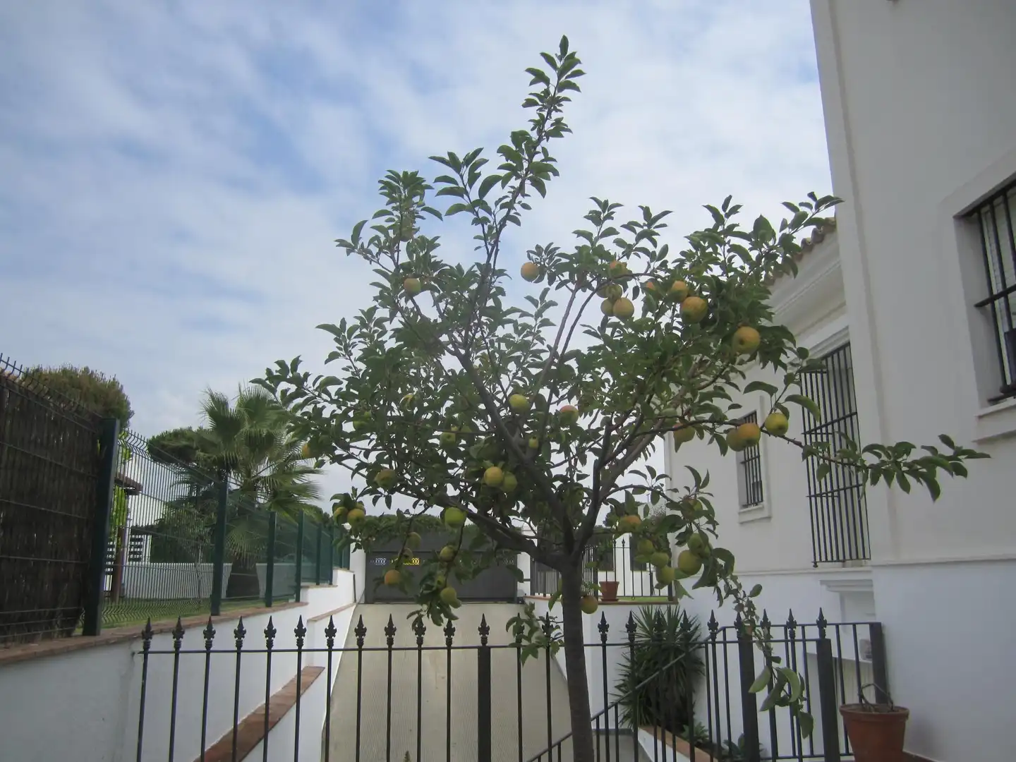Casa o chalet en venta en Avenida Cristóbal Colón, 23, El Portil Jardín de Casa o chalet en venta en El Portil con Terraza y Piscina