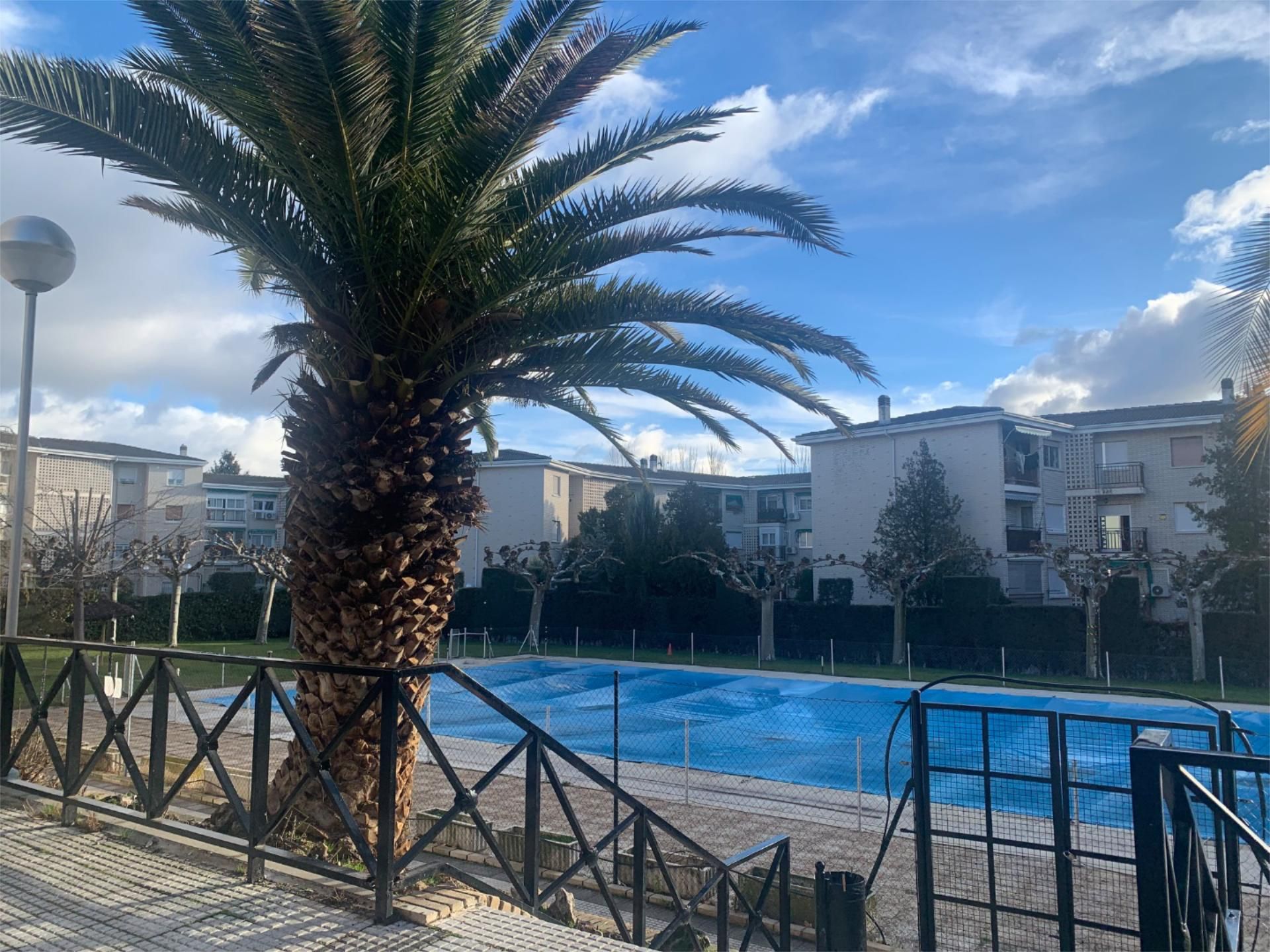 Flat to rent in Avenida de Madrid, 26, San Agustín del Guadalix pueblo Swimming pool of Flat to rent in San Agustín del Guadalix