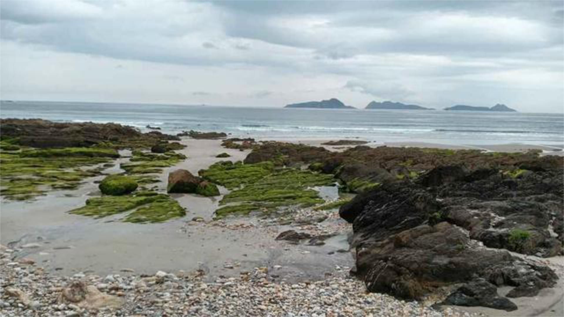 Single-family semi-detached for sale in Priegue Exterior view of Single-family semi-detached for sale in Nigrán