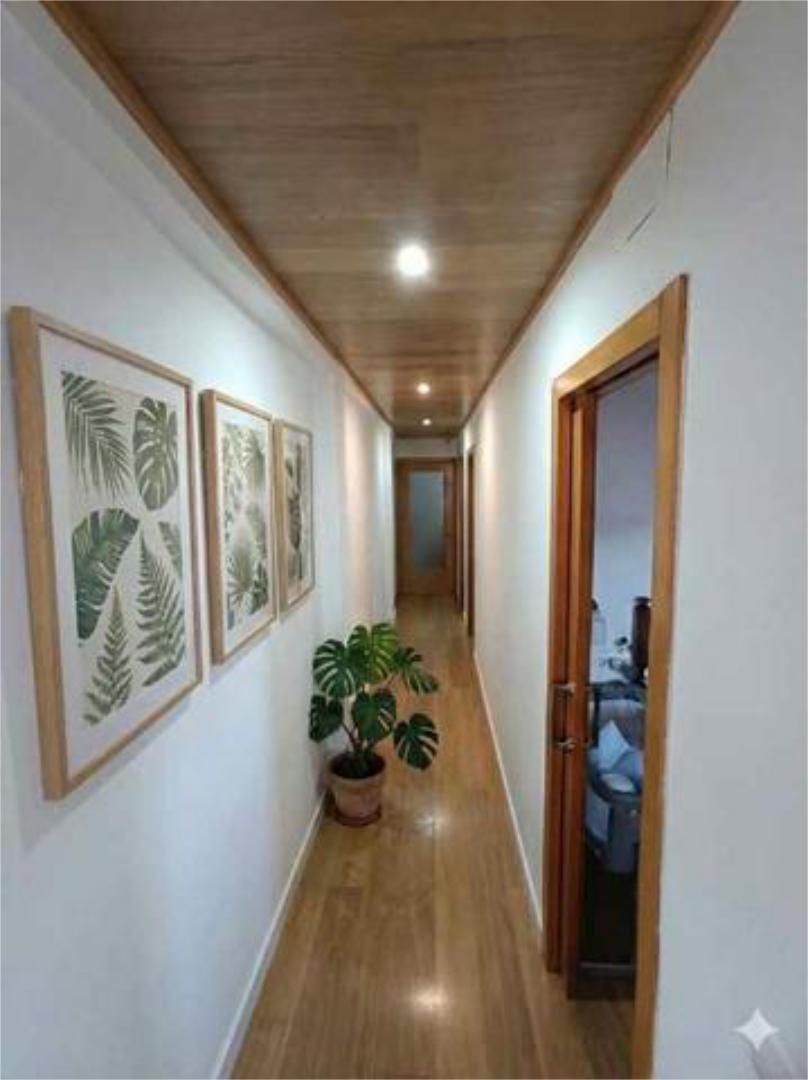 Pis de lloguer a Sector Sur