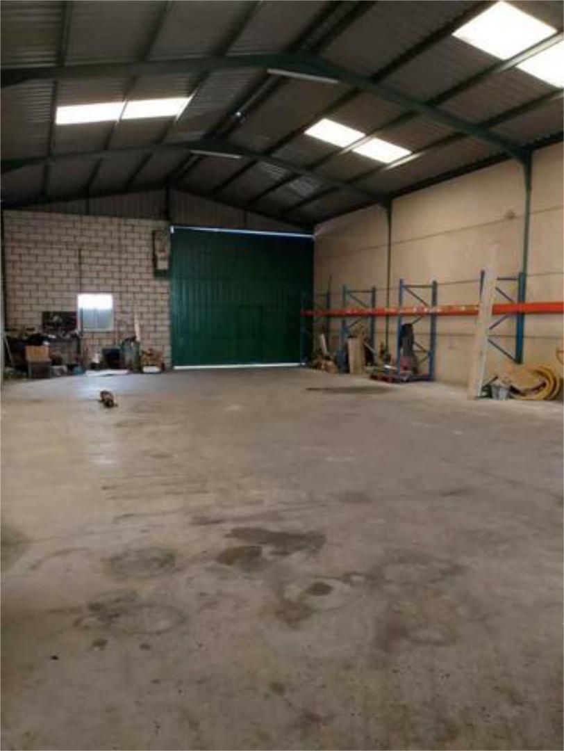 Industrial buildings to rent in Pinofranqueado