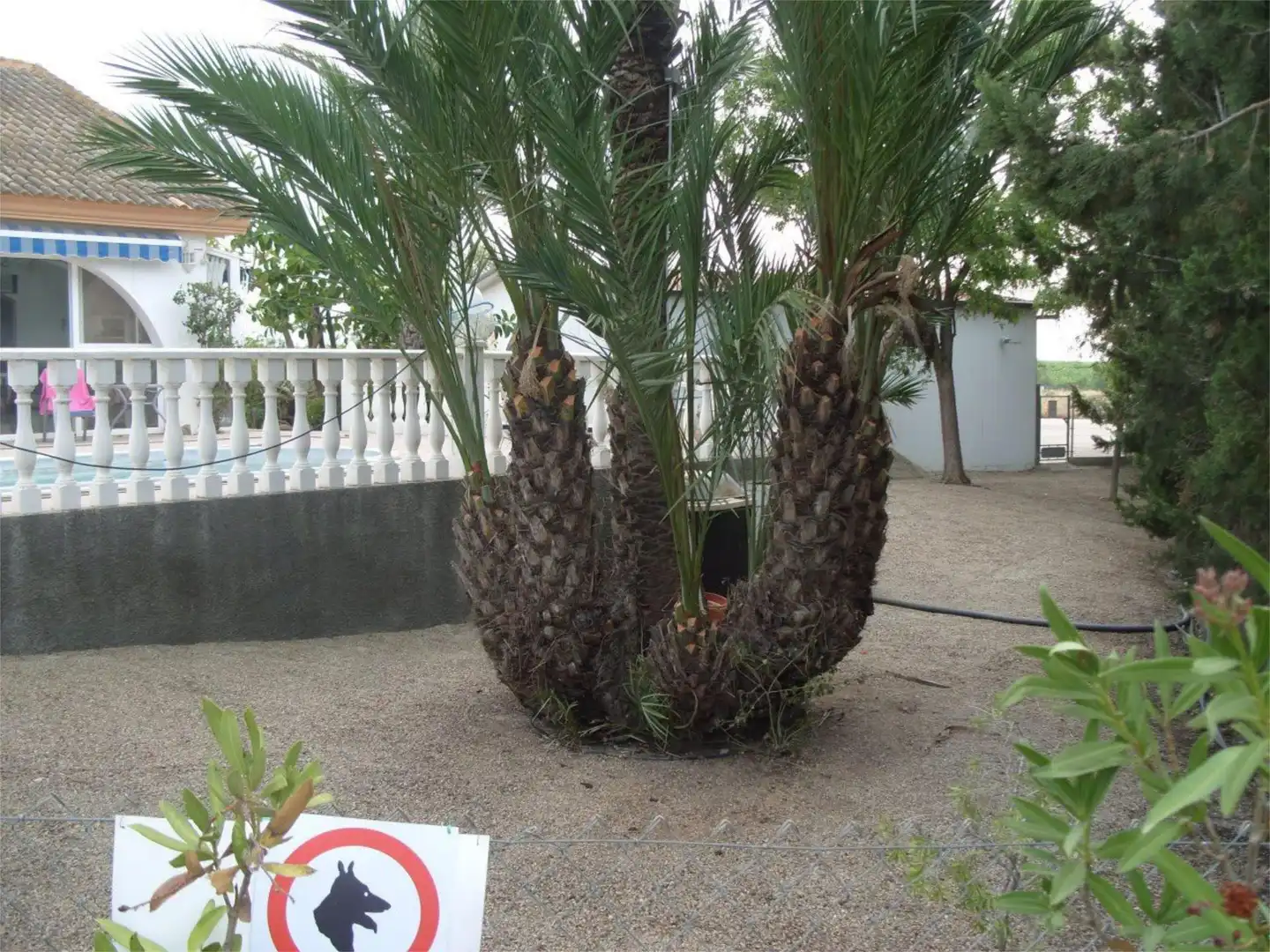Casa o chalet en venta en Calle Otto Lilienthal, 40, Condado de Alhama Jardín de Casa o chalet en venta en Alhama de Murcia con Terraza y Piscina