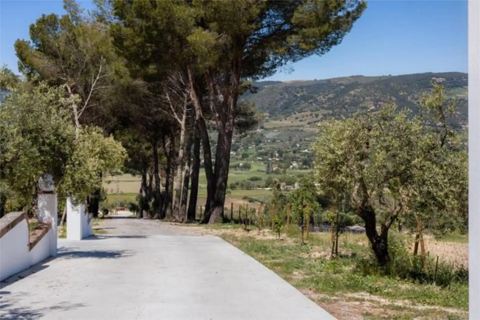Vista exterior de Casa adosada en venta en Ronda con Calefacción, Jardín privado y Terraza