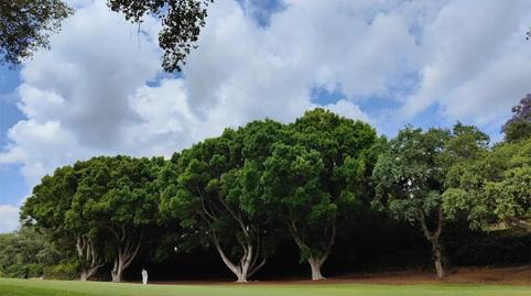 Casa o xalet en venda a Calle Mesilla del Diente, 6, Sotogrande Alto, Sotogrande - imatge 5 Foto 5 de Casa o xalet en venda a Calle Mesilla del Diente, 6, Sotogrande Alto, Sotogrande