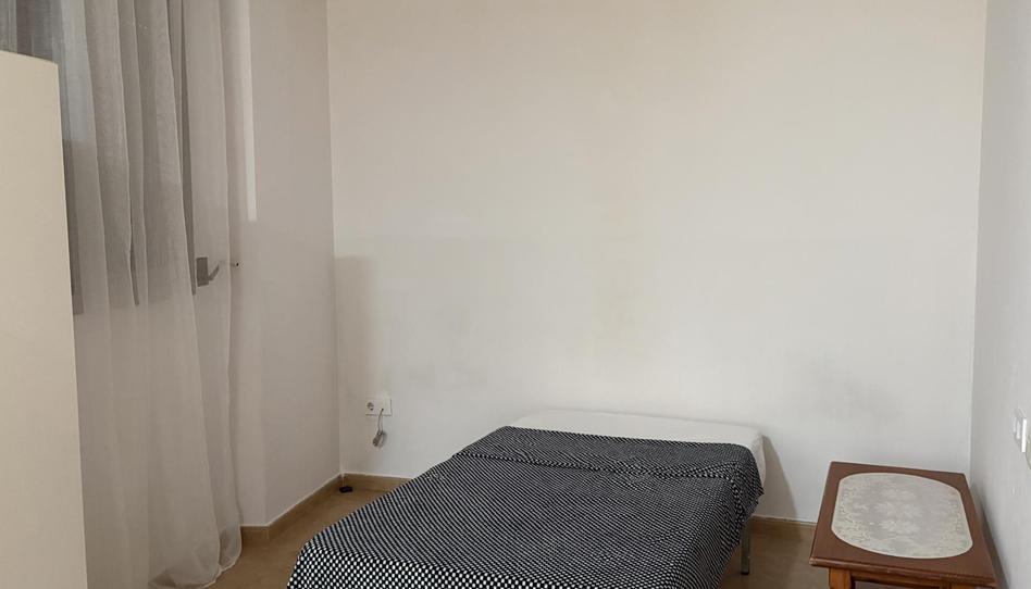 Estudi de lloguer a Plaza Hernández Amores, 1, La Catedral, Murcia Capital - imatge 1 Foto 1 de Estudi de lloguer a Plaza Hernández Amores, 1, La Catedral, Murcia Capital