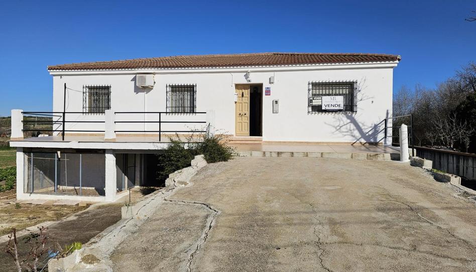 Finca rústica en venda a Carretera Nacional 331 Cordoba, 16, Monturque, Córdoba - imatge 1 Foto 1 de Finca rústica en venda a Carretera Nacional 331 Cordoba, 16, Monturque, Córdoba