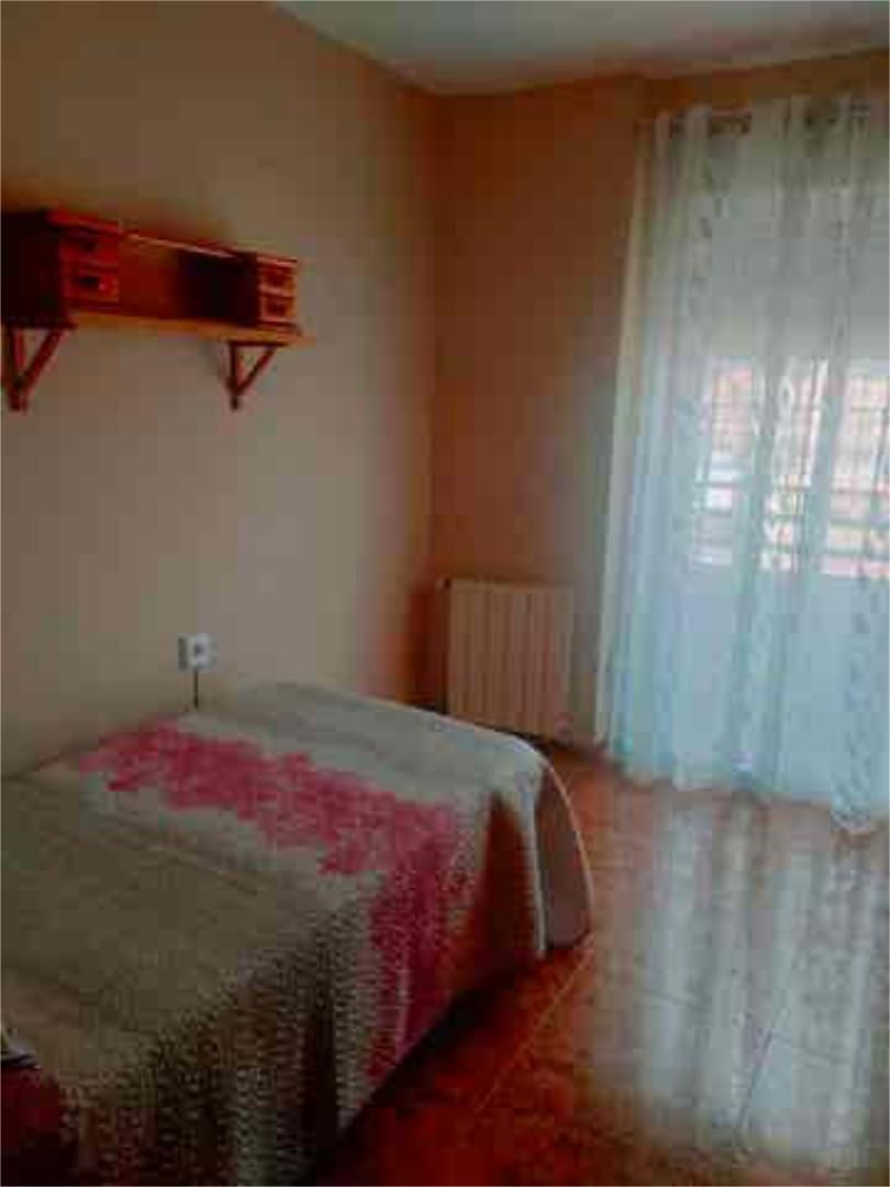 Study for share in Faitanar