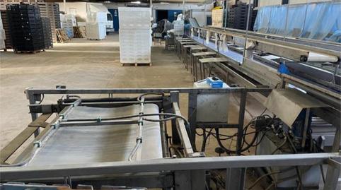 Photo 4 of Industrial buildings to rent in Roldán, Torre-Pacheco