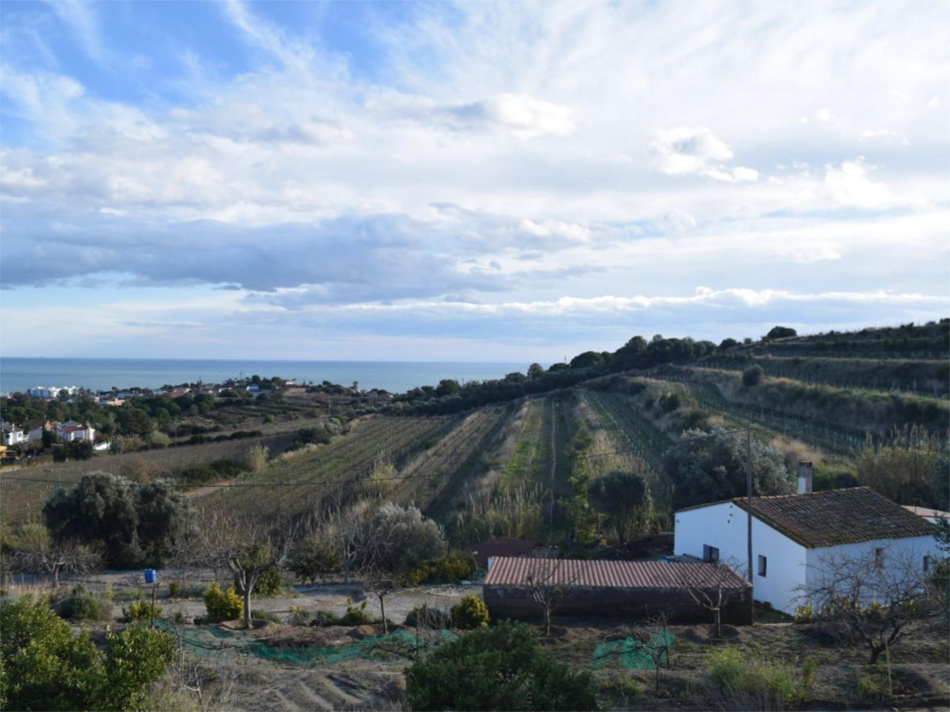 Casa o xalet en venda a Camí Baix de Tiana, 2, Alella Jardí de Casa o xalet en venda en Alella