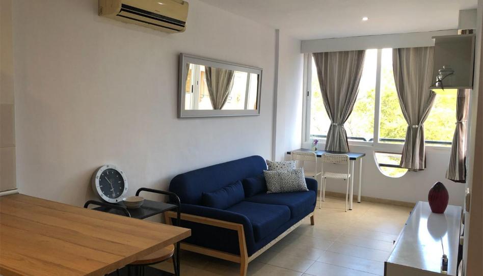 Flat to rent in Avinguda Magaluf, 10, Magaluf, Calvià - image 1 Photo 1 of Flat to rent in Avinguda Magaluf, 10, Magaluf, Calvià