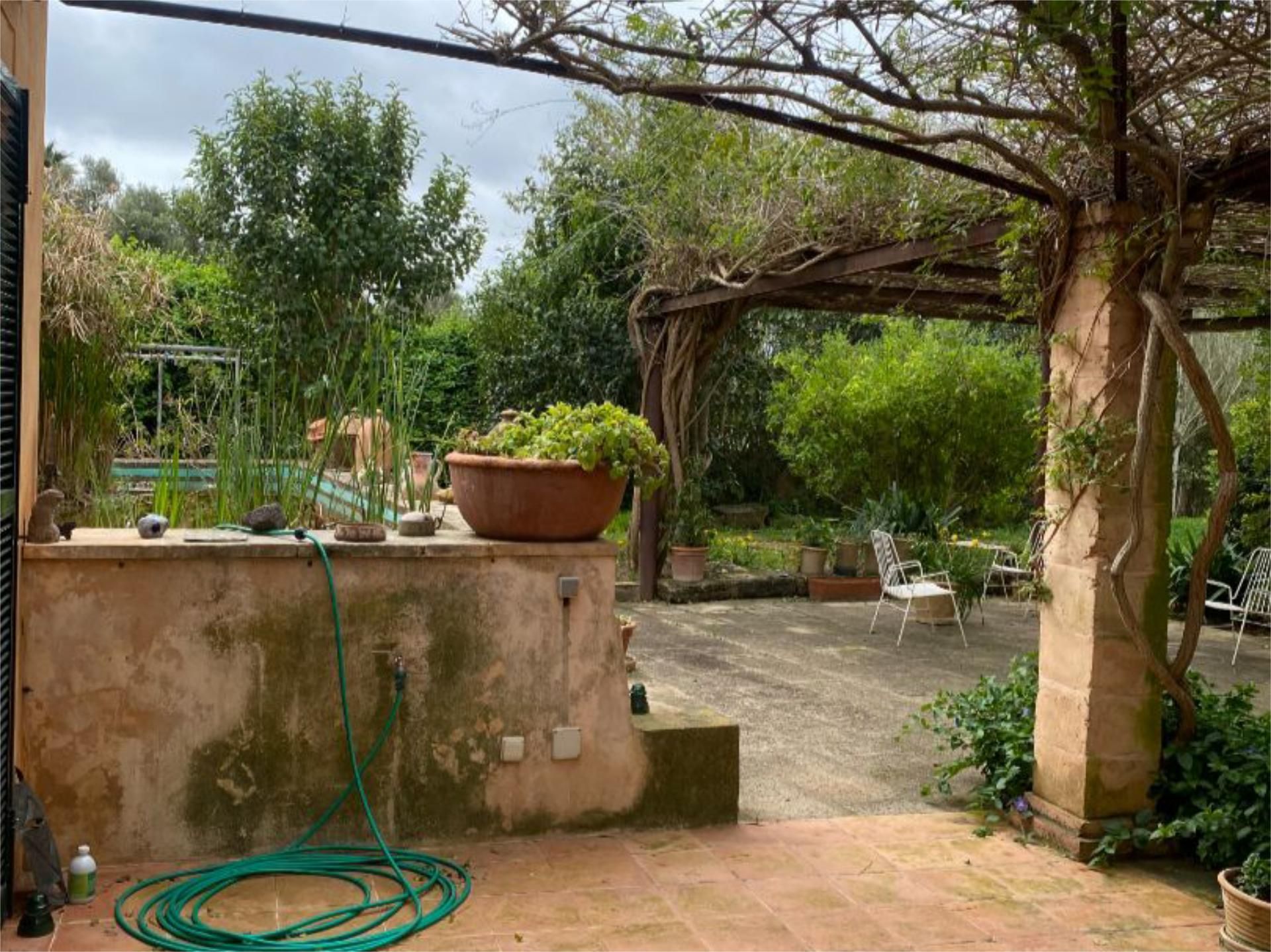 Jardí de Casa o xalet en venda en Sencelles amb Terrassa i Piscina