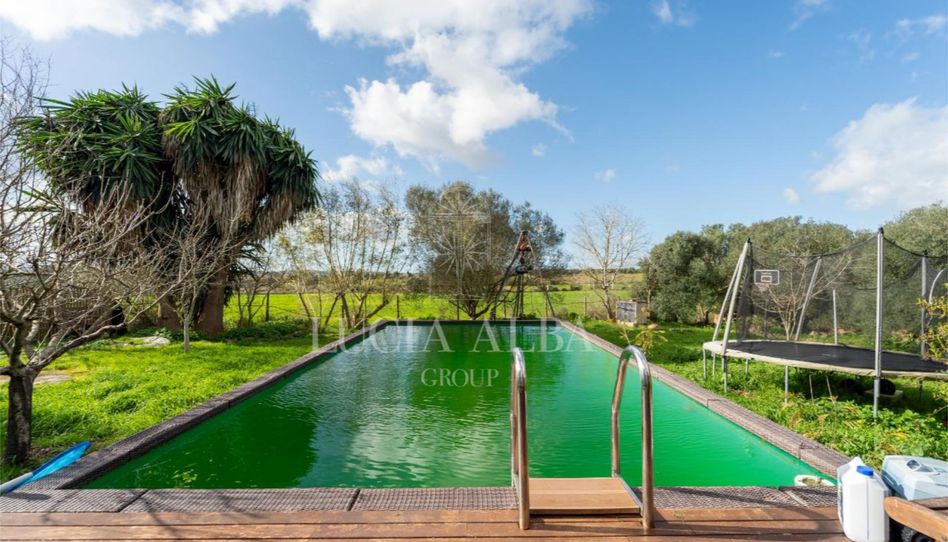 Piso en venta en Diseminado Poligono 8, 17, Sencelles, Illes Balears - imagen 1 Foto 1 de Piso en venta en Diseminado Poligono 8, 17, Sencelles, Illes Balears