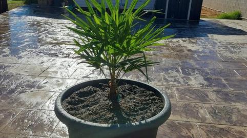 Foto 3 de Casa o xalet en venda a Camino del Sotillo, 51, Las Lagunas - Campano, Chiclana de la Frontera