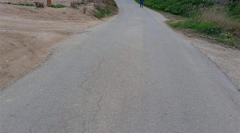 Photo 4 of Country house to rent in Avinguda de Dolores, 1009a, El Raval - Portes Encarnades, Elche / Elx