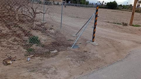 Foto 4 de Finca rústica de lloguer a Avinguda de Dolores, 1009a, El Raval - Portes Encarnades, Elche / Elx