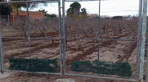 Photo 5 of Country house to rent in Avinguda de Dolores, 1009a, El Raval - Portes Encarnades, Elche / Elx