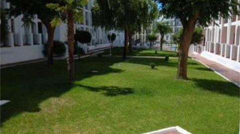 Photo 2 of Apartment to rent in Caño Guerrero, Almonte