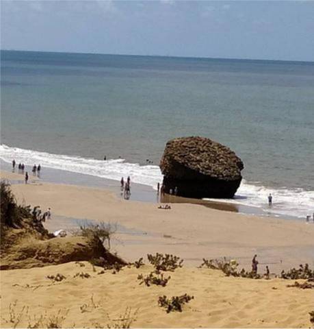 Piso en Alquiler en Coto