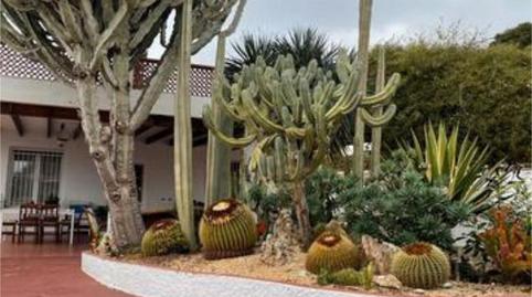 Photo 2 of Single-family semi-detached for sale in El Bacarot, Alicante / Alacant