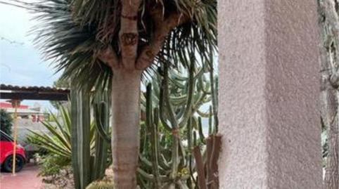 Photo 3 of Single-family semi-detached for sale in El Bacarot, Alicante / Alacant