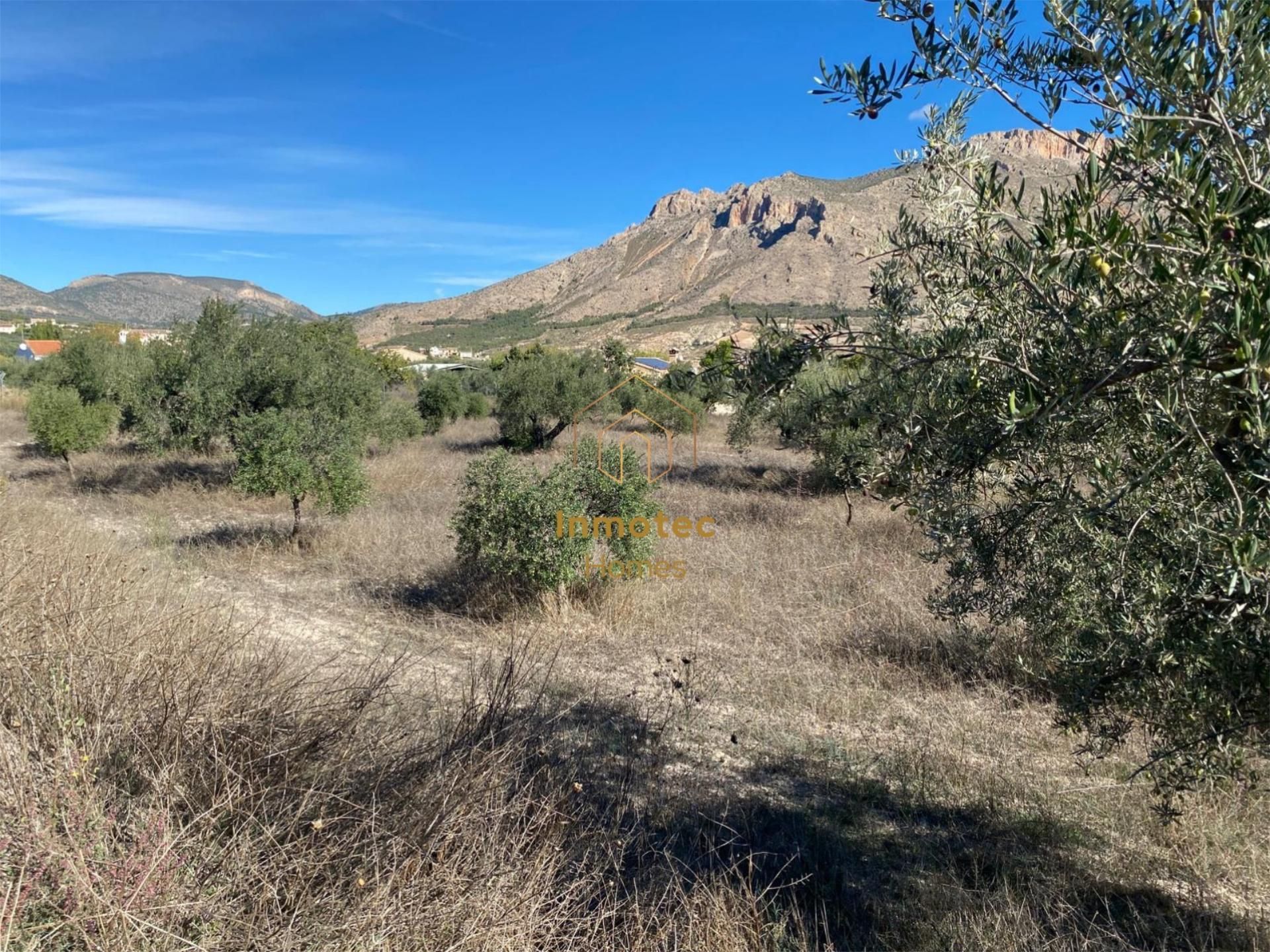 Grundstücke zum verkauf in Vélez-Blanco
