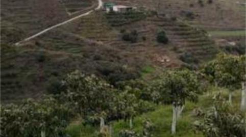 Photo 3 of House or chalet for sale in Algarrobo pueblo, Algarrobo