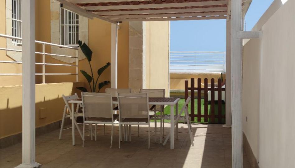 Piso de alquiler en El Médano, Granadilla de Abona - imagen 1 Foto 1 de Piso de alquiler en El Médano, Granadilla de Abona