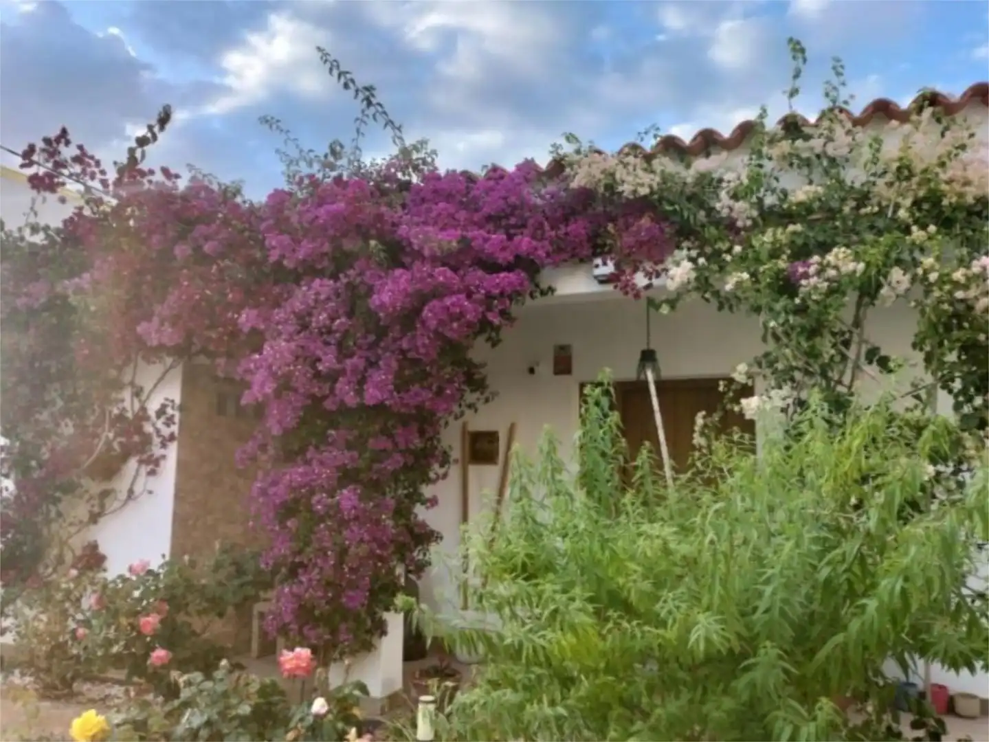 Casa o xalet en venda a Carrer Mar Mediterrània, 1, Puig d'en Valls Jardí de Casa o xalet en venda en Santa Eulària des Riu amb Aire condicionat i Piscina